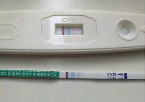 周顾问